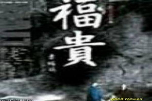失孤寻子之旅情感电影故事情节还原