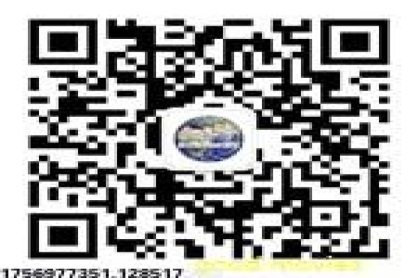 《新警事之隐形兄弟》剧情解析|警察卧底兄弟情深的背后故事