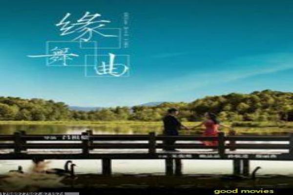 《美丽密令》港片动作美学解析