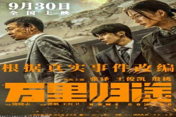 《龙腾虎跃》电影剧情解析|武打动作故事与幕后揭秘