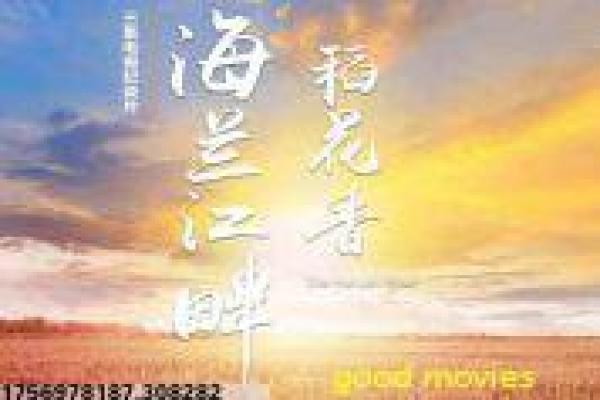 《学校2013》校园设定与师生关系分集讲解