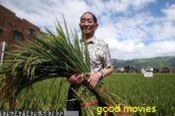 《夏威夷特勤组第五季》第五季特勤影片拍摄故事及特工生活揭秘