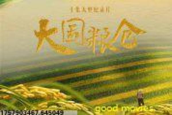 《迷你小洞玩创造 第二季》影片详细,小洞迷你创造续季的动画故事