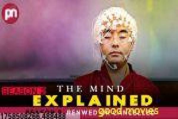 《谈情说案》影片解析,谈情说案爱情的剖析