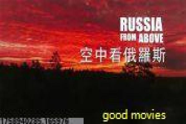 电影战争片-战争片的战地传奇,深度解析战争电影的英雄与人性