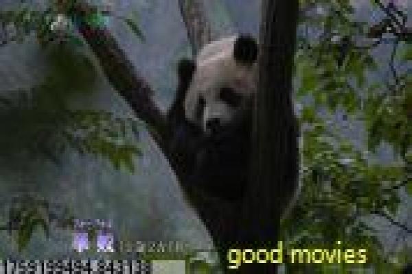 三千鸦杀剧情-三千鸦杀的仙侠爱情,深度解析国产剧的修仙与命运