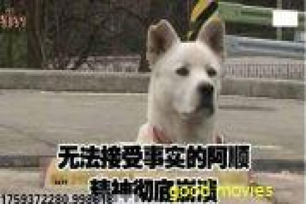 《足不出户》足不出户宅居的悬疑故事情节全