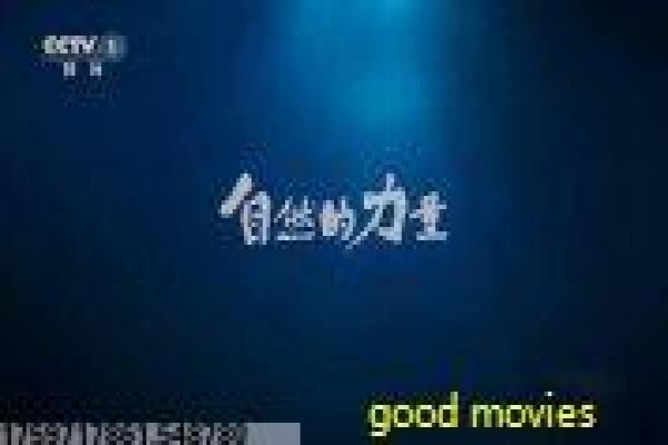 短刀行张卫健-张卫健江湖刀客冒险影片讲解