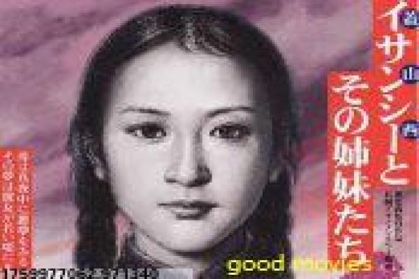 《冉冉升起的星星》影片简介详解,冉冉升起的星星星途崛起的偶像传奇与梦想追求的详细还原