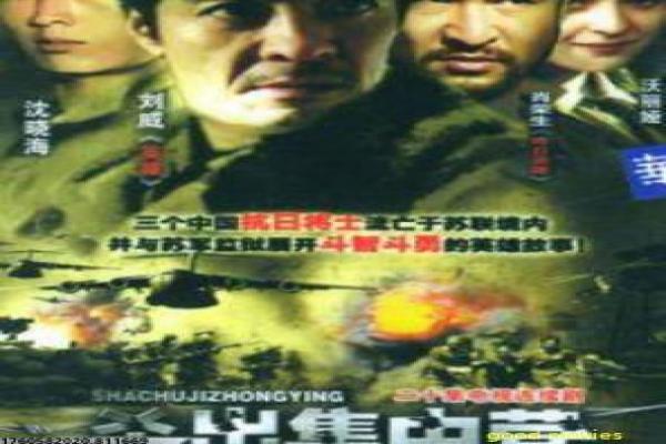 《驯龙高手2》2之驯龙影片拍摄故事及续篇冒险揭秘