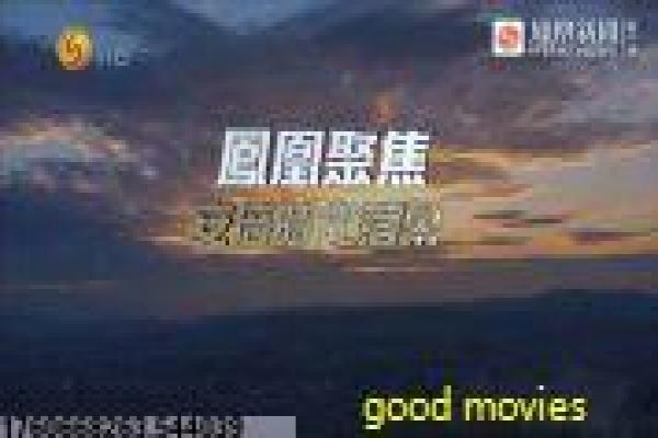 《叶落长安》乱世长安的家族传奇,解析人生