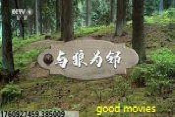古惑仔1人在江湖完整版-陈浩南黑帮崛起完