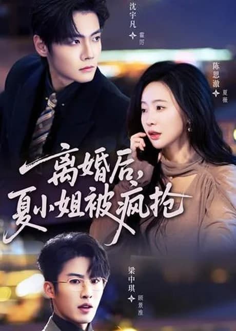 离婚后,夏小姐被疯抢海报