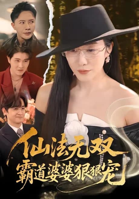 仙法无双，霸道婆婆狠狠宠海报