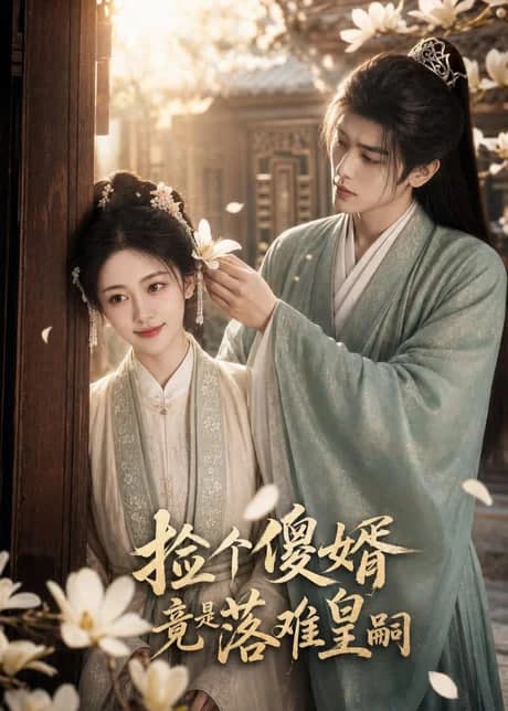 捡个傻婿竟是落难皇嗣海报