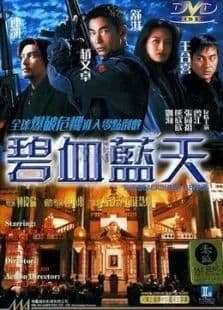 碧血蓝天海报