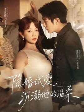 隐婚试爱，沉溺他的温柔海报