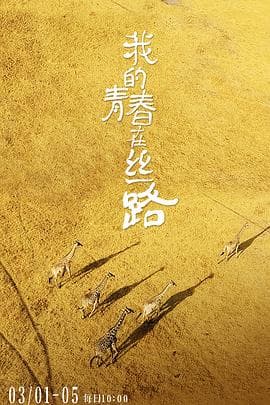 我的青春在丝路海报