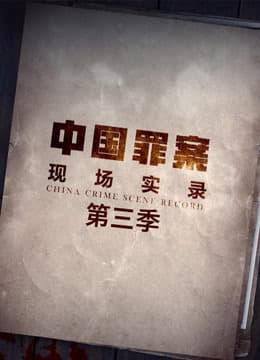 罪案现场实录 第三季海报