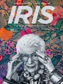 打扮美国、装点自己：九旬女神的美丽传奇海报