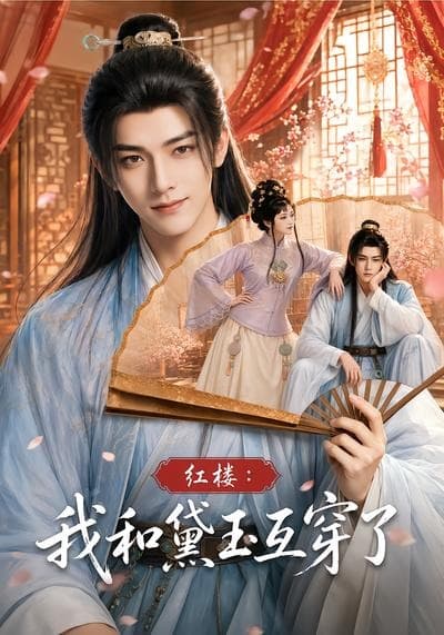 红楼：我和黛玉互穿了海报