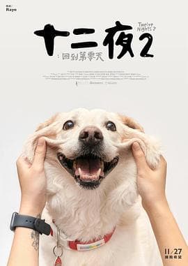 十二夜2：回到第零天海报