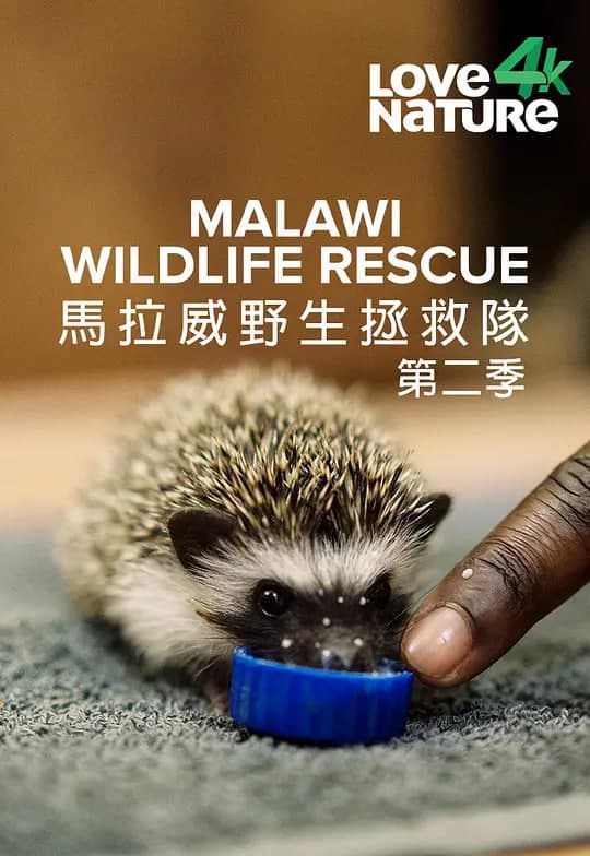 马拉维野生动物救援 第二季海报