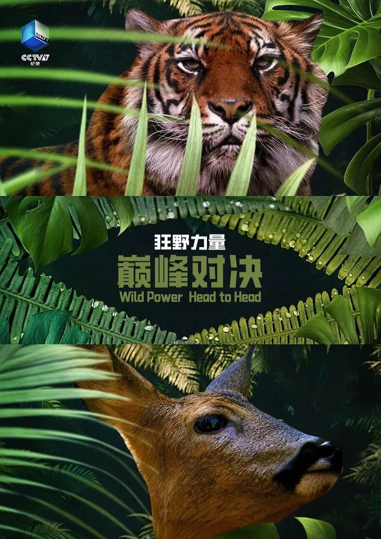 狂野的力量：巅峰对决 第一季海报