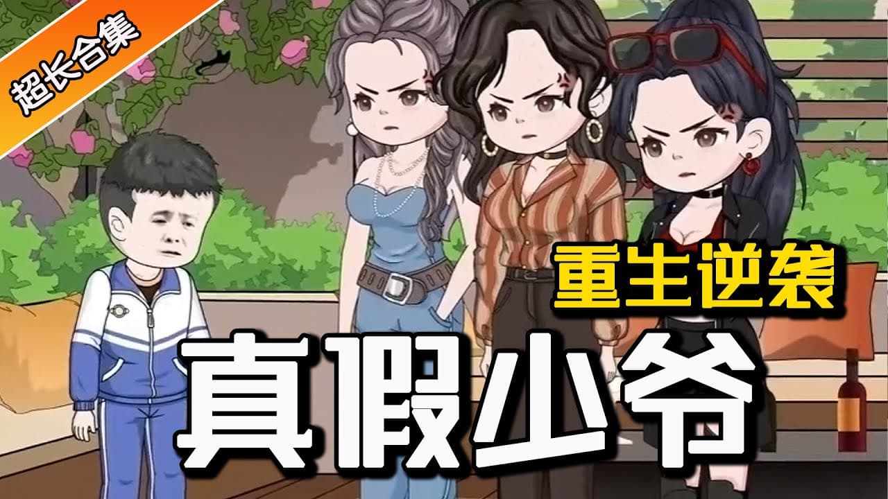 真假少爷海报