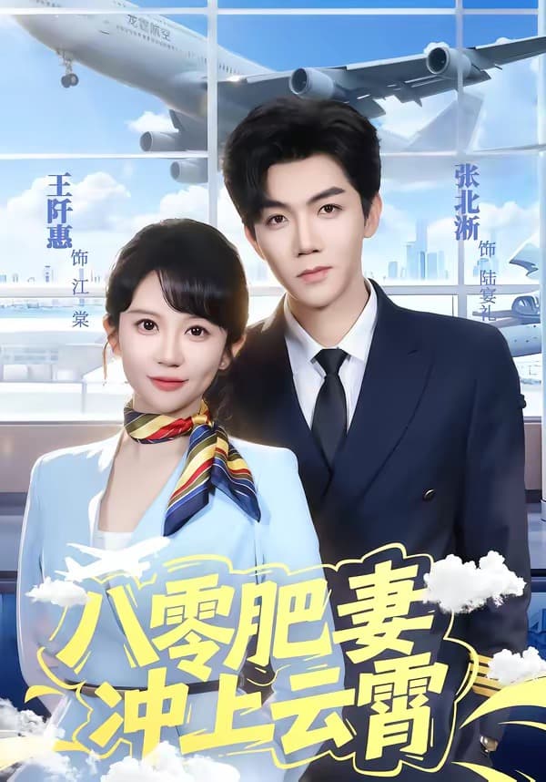 八零肥妻冲上云霄海报