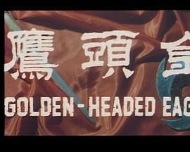 金头鹰粤语海报