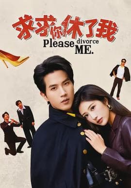 求求你休了我海报
