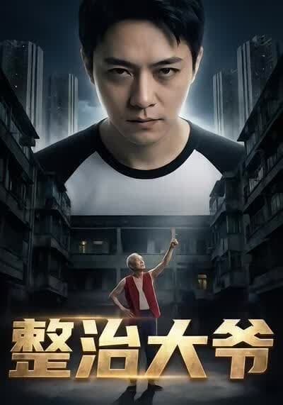 整治大爷海报