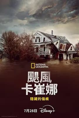 飓风卡特里娜：隐藏的伤痕海报