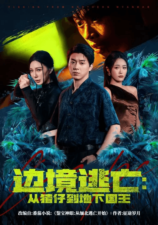 边境逃亡：从猪仔到地下国王海报