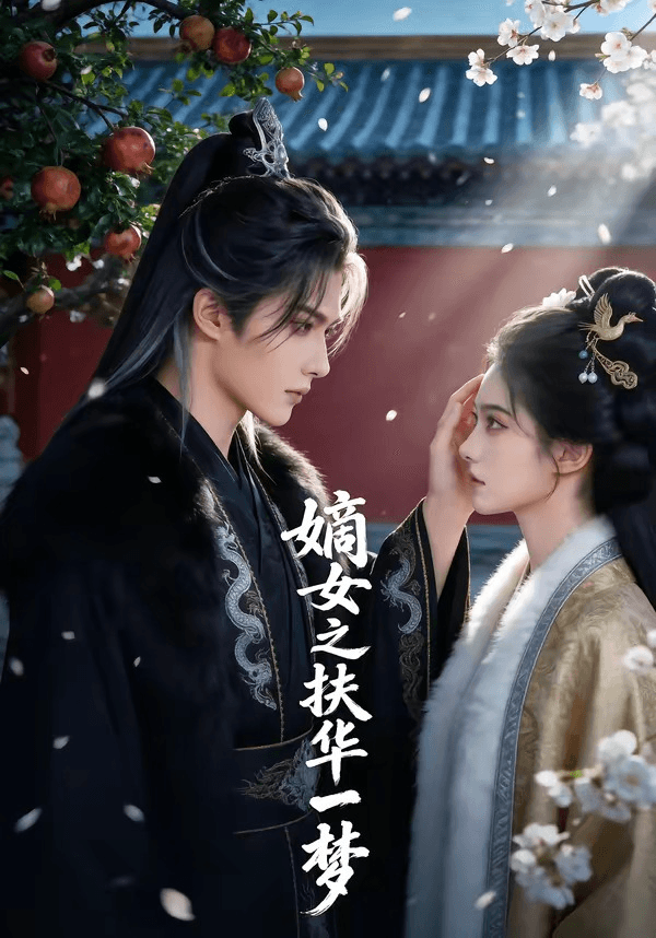 嫡女之扶华一梦海报