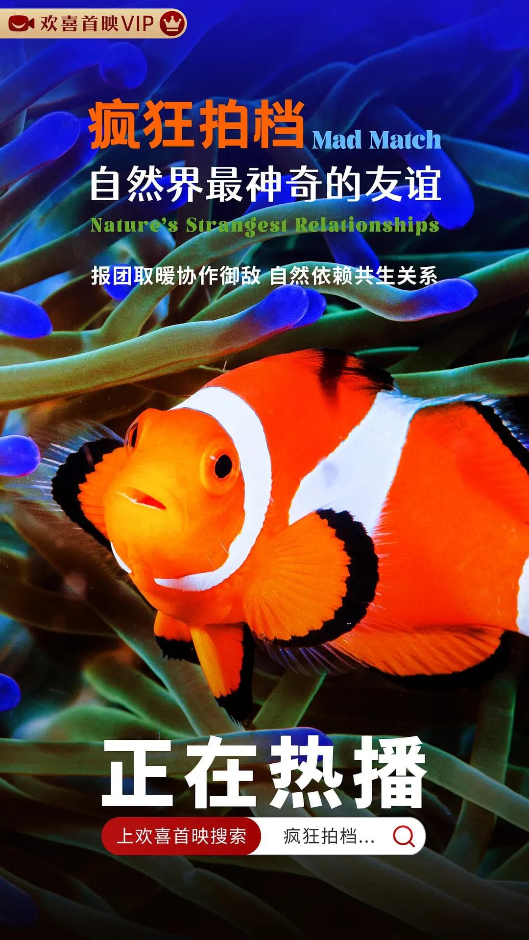 疯狂拍档：自然界最神奇的友谊海报