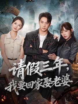 请假三年，我要回家娶老婆海报