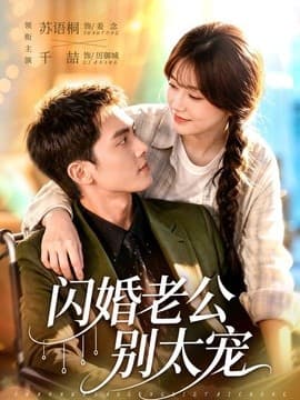闪婚老公别太宠海报