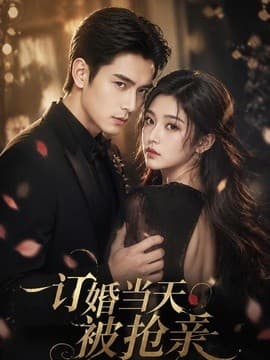 订婚当天被抢亲海报