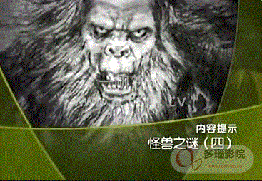 大''真探''怪兽之谜海报