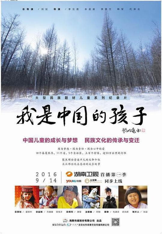 我是中国的孩子海报