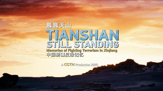 巍巍天山——中国新疆反恐记忆海报