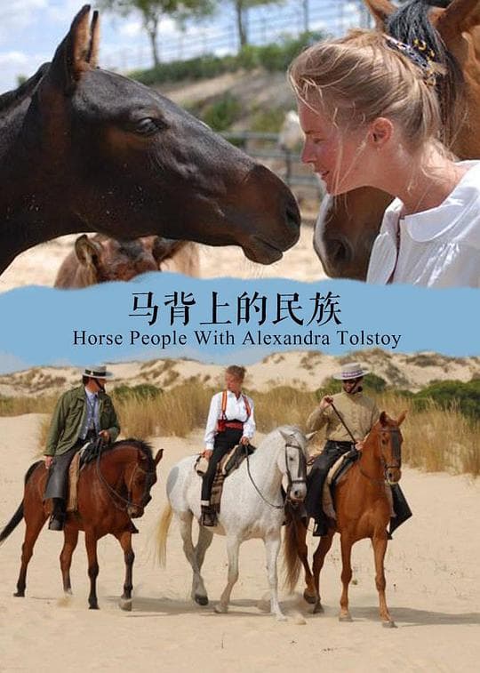 马背上的民族第一季海报