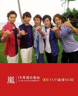 岚：15周年的告白海报