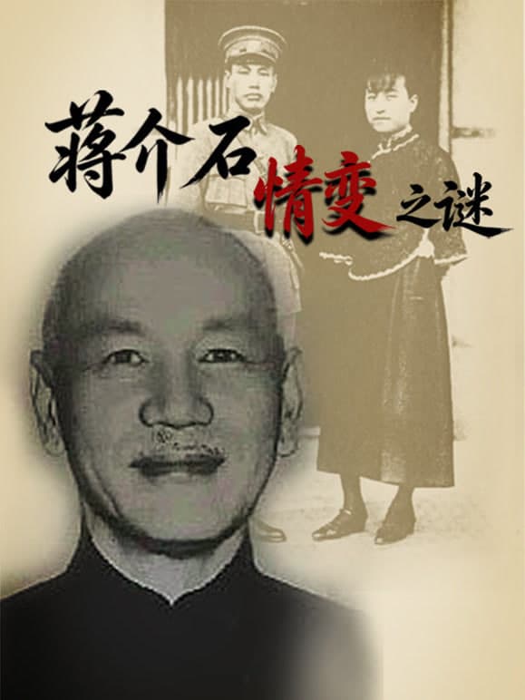 蒋介石情变之谜海报